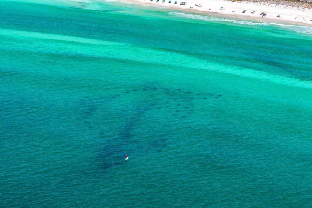 Caribbean Dunes 120 Destin Bagian luar foto